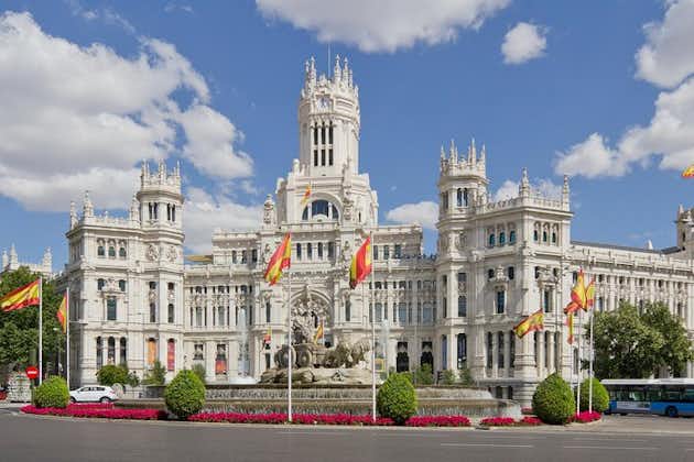 Privat 3-timers liten gruppe tur i Madrid