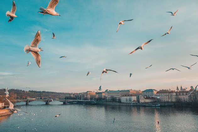 Descubre los lugares más fotogénicos de Praga con un local
