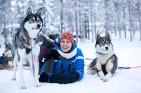 Excursion avec des huskies au départ de Rovaniemi, incluant une promenade en traîneau