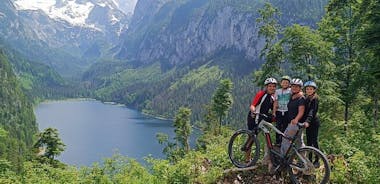 Passeio guiado de e-bike pelas pastagens alpinas em Salzkammergut