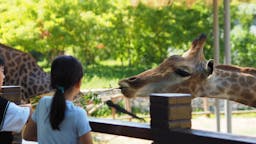 Зоопарки и парки дикой природы в Палермо, Италия