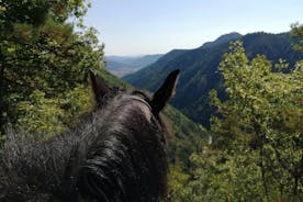 Halve dag paardrijden naar het Soskovcheto-reservaat in Smolyan