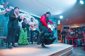 BESTE AV Granada: Flamenco-, tapas- og vintur - av OhMyGoodGuide!