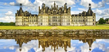 Loire Valley Castles Day Trip from Paris with Wine Tasting