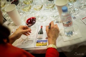 Private Masterclass of our Wines, Excellence of our terroirs