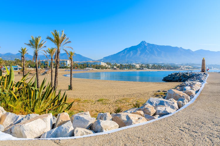 Photo of beautiful beach with palm trees in Marbella near Málaga and Puerto Banus marina, Costa del Sol, Spain