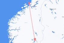 Flights from from Oslo to Ørland