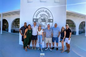 Santorini Halve dag wijnproeverij en wijnmakerijtour met pick-up