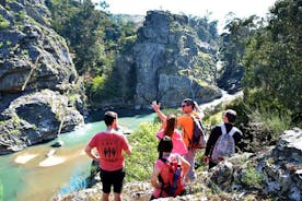 Half Day Hike and Picnic Tour in Porto's Mountains