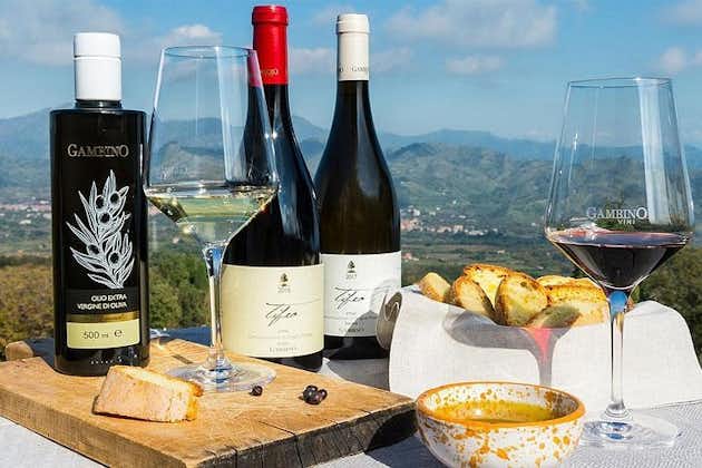 Etna panoramic tour + Wine tasting at the cellar