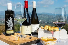 Increíble recorrido panorámico privado por el Etna + combinación de degustación de vinos y comida