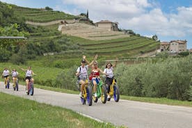 전자 자전거 및 와인 투어 Valpolicella Hills