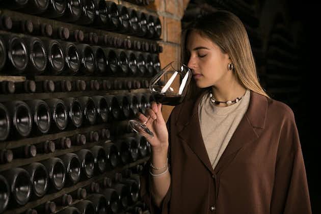 Amarone Wine Experience på Montresor vingård