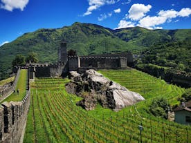 Three Castles of Bellinzona
