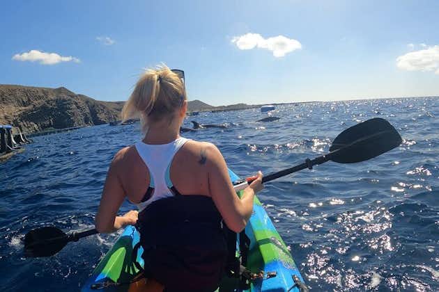 Guided Kayak Tour From Los Cristianos Beach Tenerife