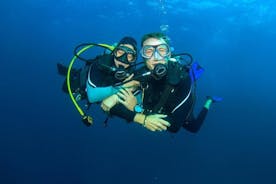 库萨达斯爱琴海潜水