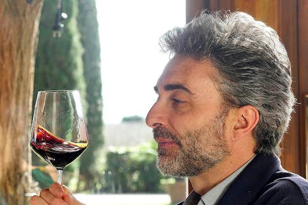 Bolgheri: cata sensorial de vinos con visita a la bodega
