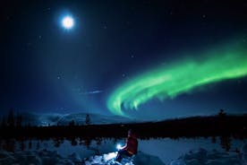 Northern Lights Road Trip from Rovaniemi with Guaranteed Views