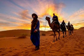 4-dagars Marocko-tur från Spanien