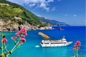 Visite privée des Cinque Terre en minibus et excursion en ferry le long de la côte au départ de Livourne