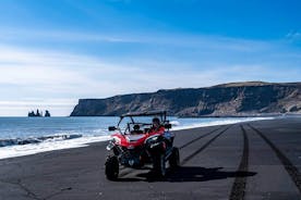 Private South Coast and Black Beach Buggy Tour