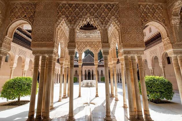 Tour saltafila di un'intera giornata per Granada, palazzo dell'Alhambra e Albaicin da Siviglia