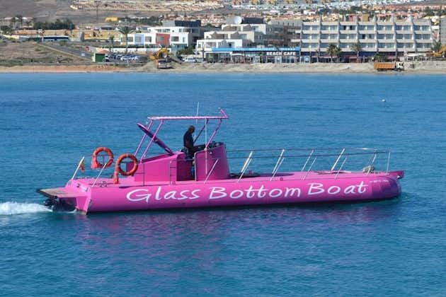 Glass Bottom Boat Cruise In Puerto Castillo