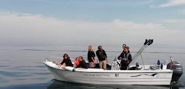 Small Group Dolphin and Wildlife Watching Tour in Faro