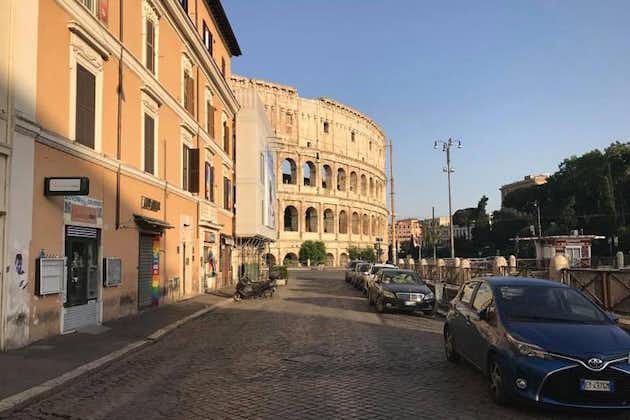 Halvdagstur i Roma (3 timer)