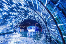 Amsterdam Light Festival Boatcruise with Option of Unlimited Drinks