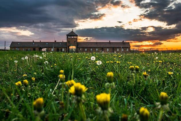 Guided Tour Krakow to Auschwitz-Birkenau with optional Pickup 