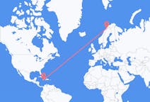 Flyg från Kingston, Jamaica till Narvik, Norge
