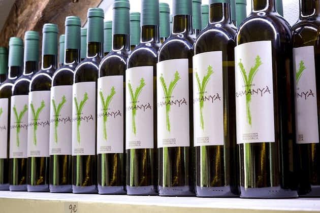 Mallorca-vingårdsbesøg med vin- og lokal madsmagning fra øst