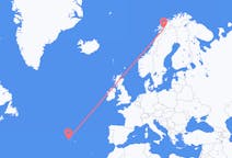 Flüge von der Stadt Narvik in die Stadt Horta, Azoren