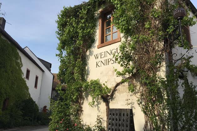 Visite œnologique au Pfalz "La Toscane d'Allemagne" pour déguster des vins rouges craquants