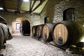 Historical Winery Tour and Tasting in Patras