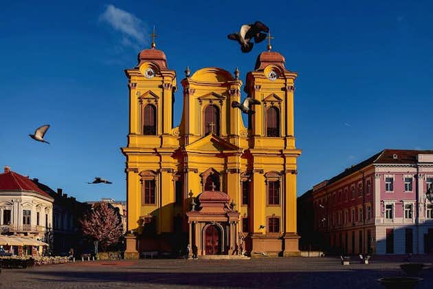 Descubra Timișoara como un local en el mejor tour de introducción guiado
