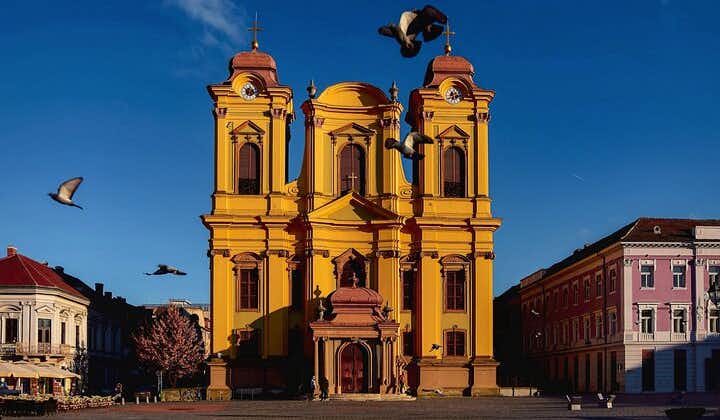 Discover Timișoara like a Local on the Best Guided Intro Tour