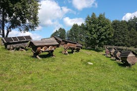 Volledige dagtour naar het nationale park Aukstaitija vanuit Vilnius