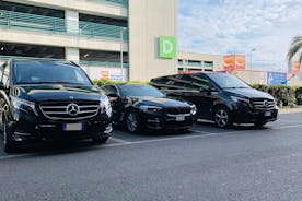 Basel Airport to Basel - Arrival Private Transfer