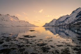 Oppdag fjordene i Kvaloya - en biltur langs fjorder og fiskevær