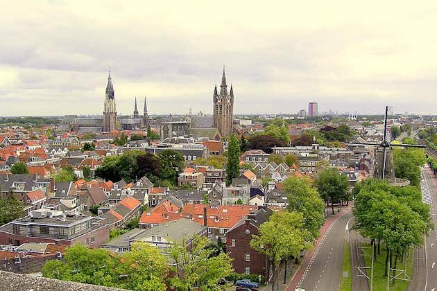 Excursion privée à Delft et à La Haye