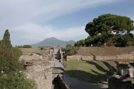 Privat rundtur Pompeji Vesuvius och vingård från Sorrento