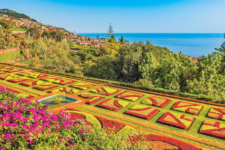 Photo of botanical garden in Funchal, Madeira, Portugal.