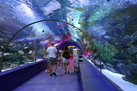 Entrée à l'aquarium d'Antalya avec visite facultative de la ville d'Antalya et des chutes de Duden