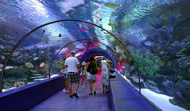 Antalya Aquarium admission with optional Antalya City Tour and Duden Waterfall