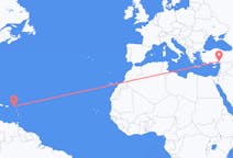 เที่ยวบิน จาก ไตรมาสที่ต่ำกว่าของเจ้าชาย, ซินต์มาร์เทน ไปยัง อาดานา, ตุรกี