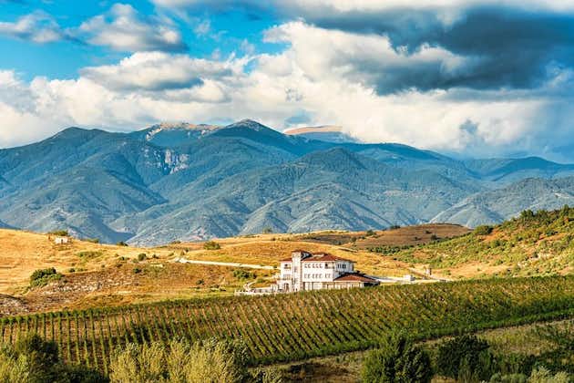 Dégustation de vins et plus à Villa Melnik - l'un des meilleurs vignobles du monde