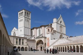 Tour della Basilica di San Francesco con guida ufficiale