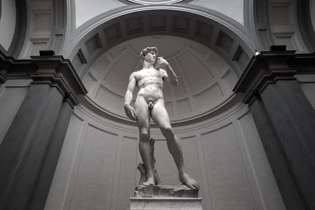 Visita a pie a la Galería de los Uffizi y la Academia